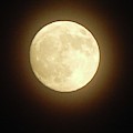 Moon Glow